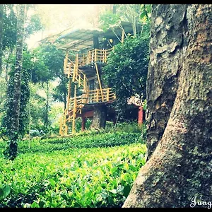 *** Bed & Breakfast Jungle Jive Tree House India